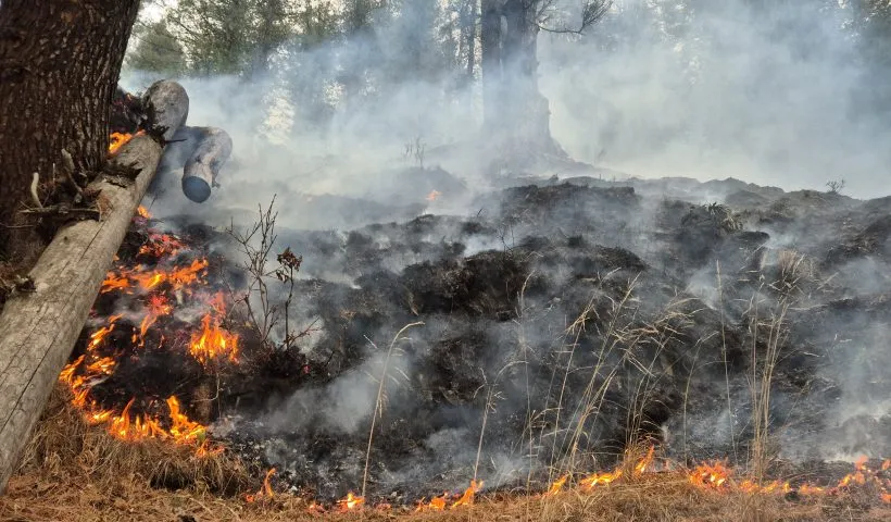 'High risk' forest fire along LoC in Gurez 'controlled'; mopping operation on
