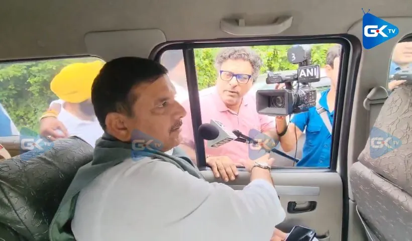 Malik's detention under PSA unconstitutional: AAP MP Sanjay Singh